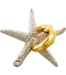 Hanayama Cast Starfish - hlavolam - Produkt Hanayama Cast Starfish - hlavolam